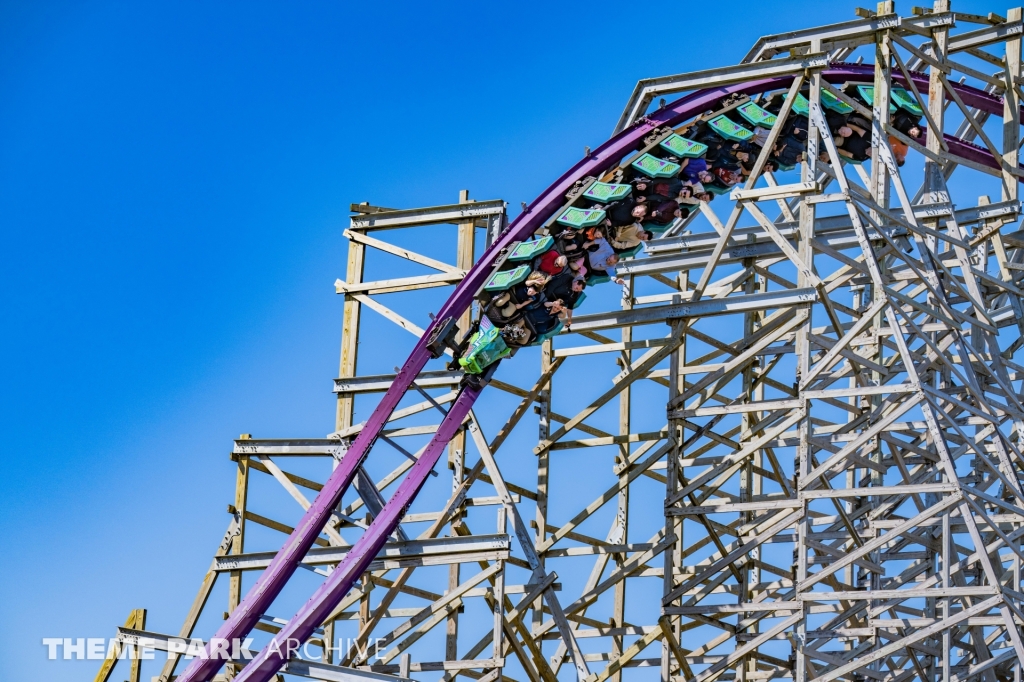 Iron Gwazi at Busch Gardens Tampa