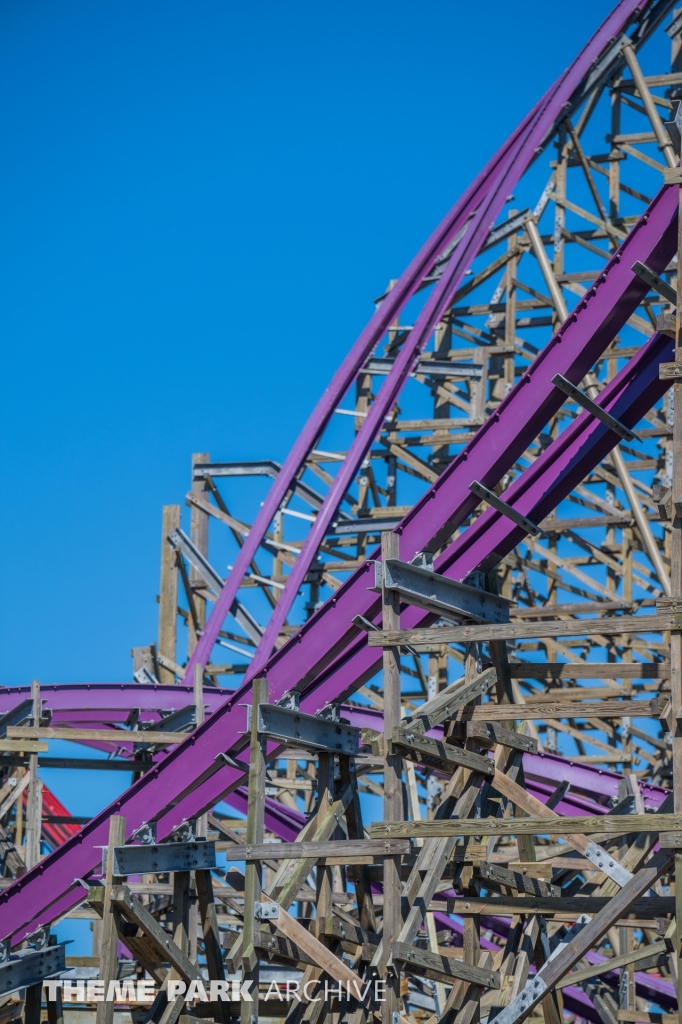 Iron Gwazi at Busch Gardens Tampa