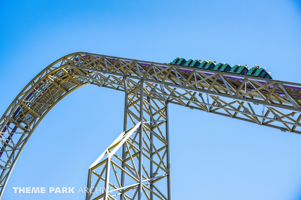 Iron Gwazi at Busch Gardens Tampa