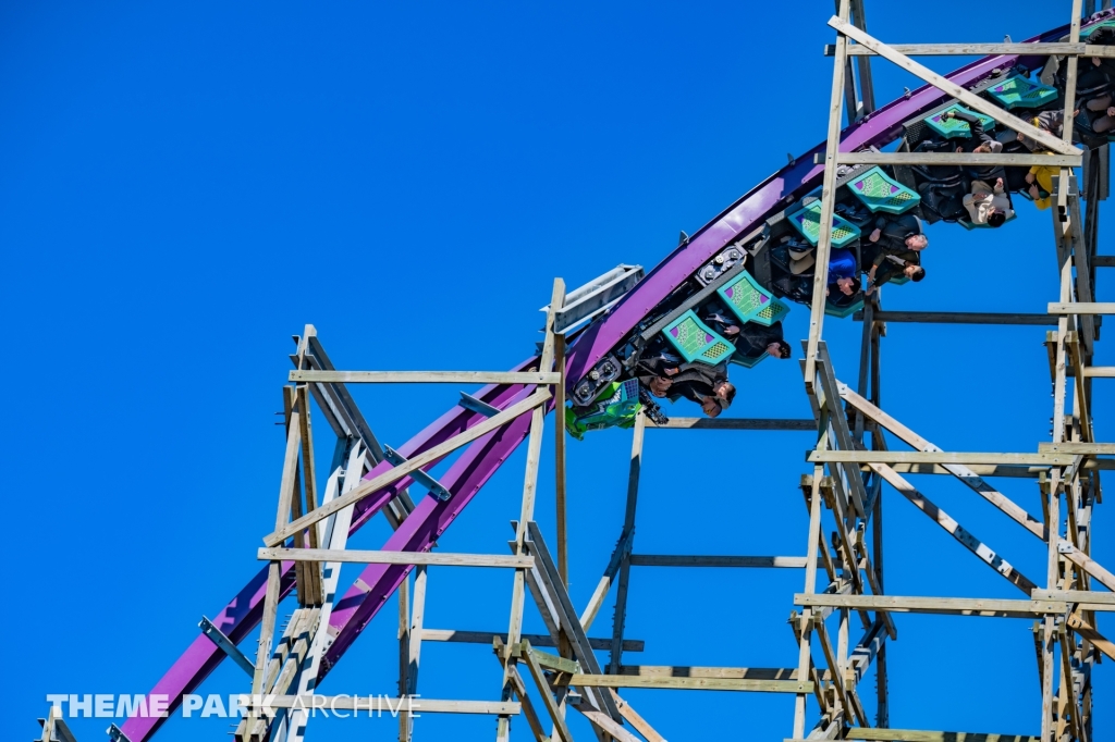 Iron Gwazi at Busch Gardens Tampa