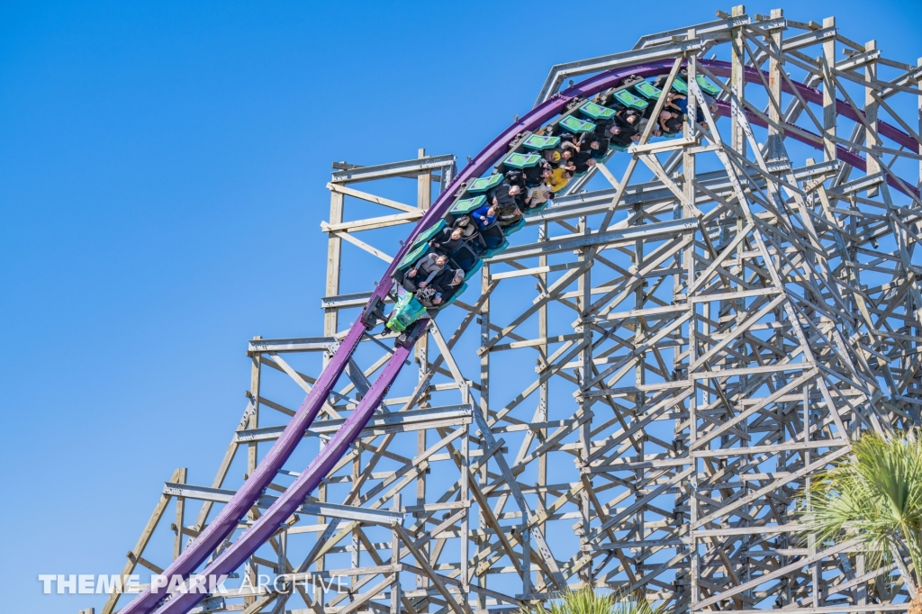 Iron Gwazi at Busch Gardens Tampa