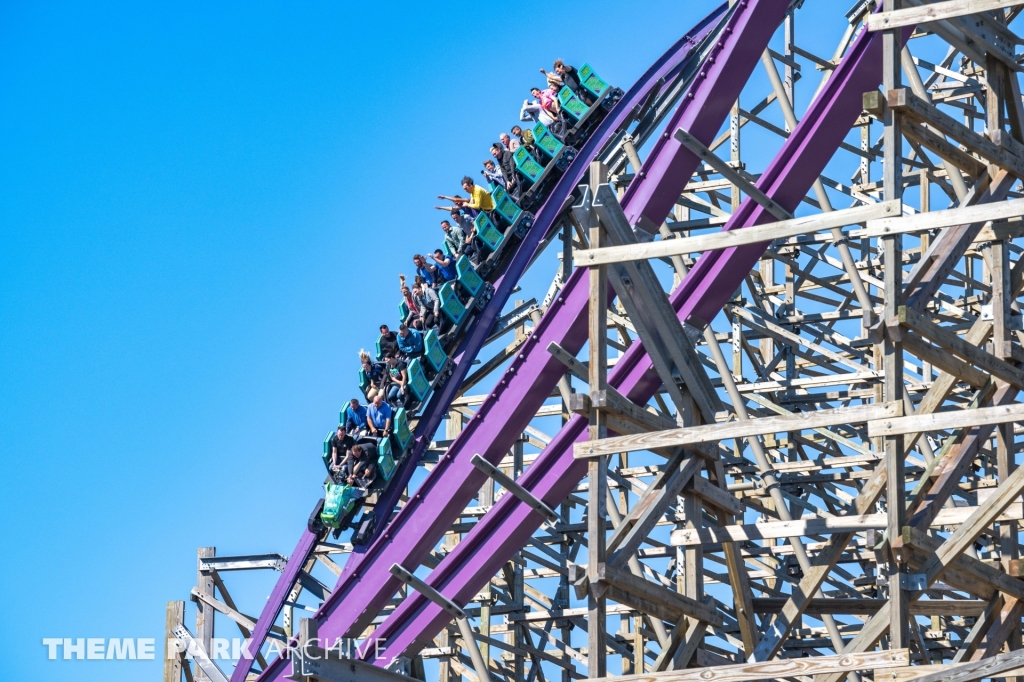 Iron Gwazi at Busch Gardens Tampa