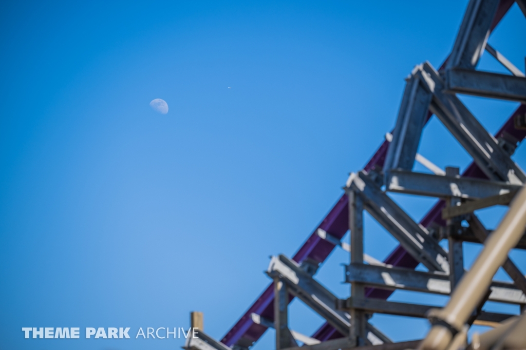 Iron Gwazi at Busch Gardens Tampa