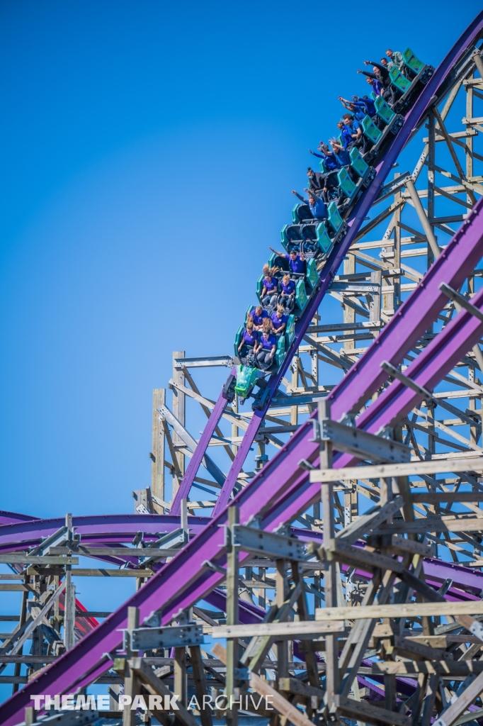 Iron Gwazi at Busch Gardens Tampa