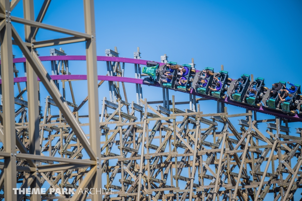 Iron Gwazi at Busch Gardens Tampa