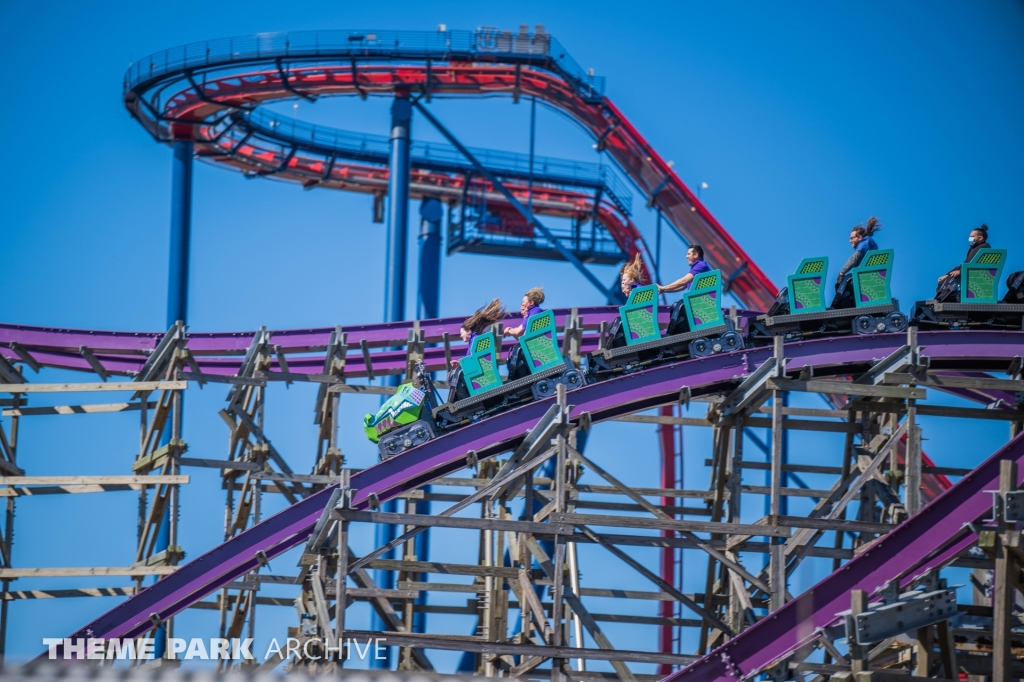 Iron Gwazi at Busch Gardens Tampa