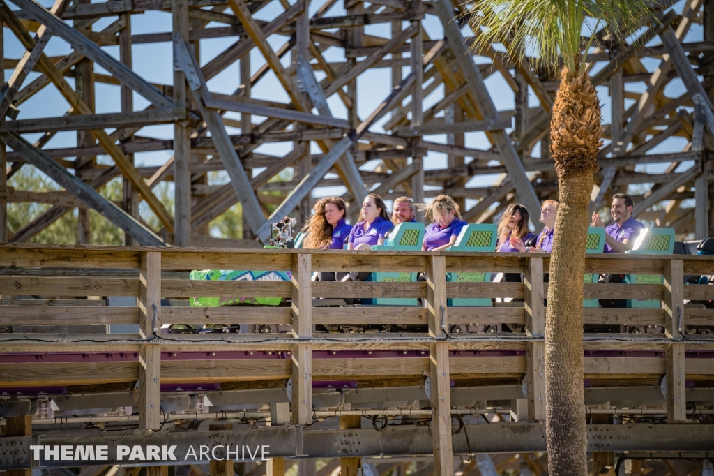 Iron Gwazi at Busch Gardens Tampa