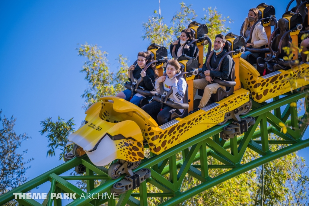 Cheetah Hunt at Busch Gardens Tampa