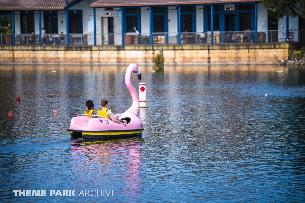 Paddle Boats at SeaWorld Orlando