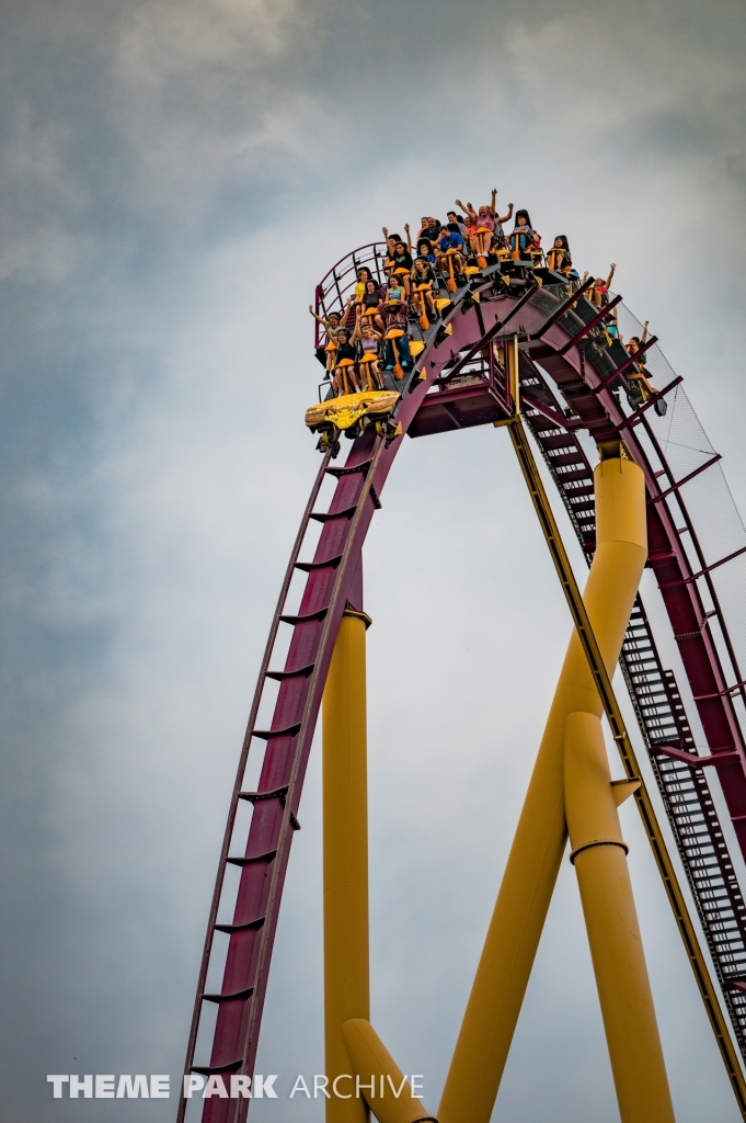 Diamondback at Kings Island