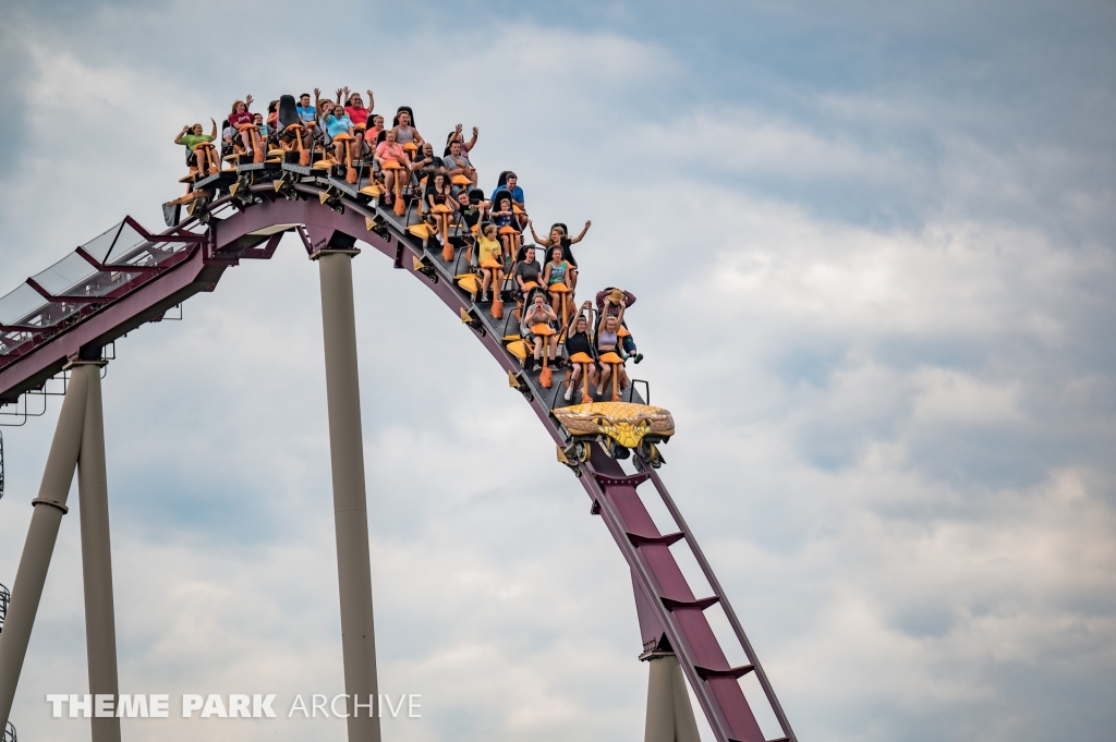 Diamondback at Kings Island