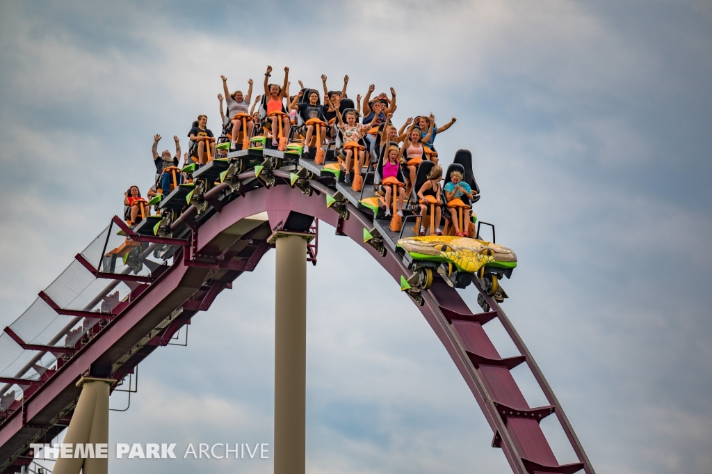 Diamondback at Kings Island