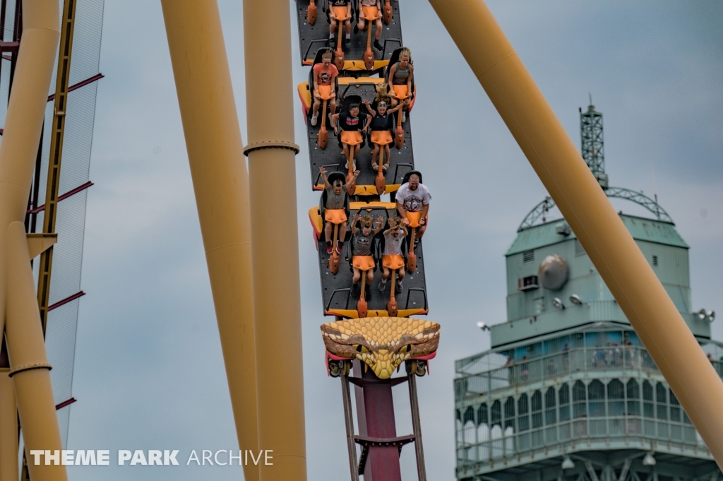 Diamondback at Kings Island