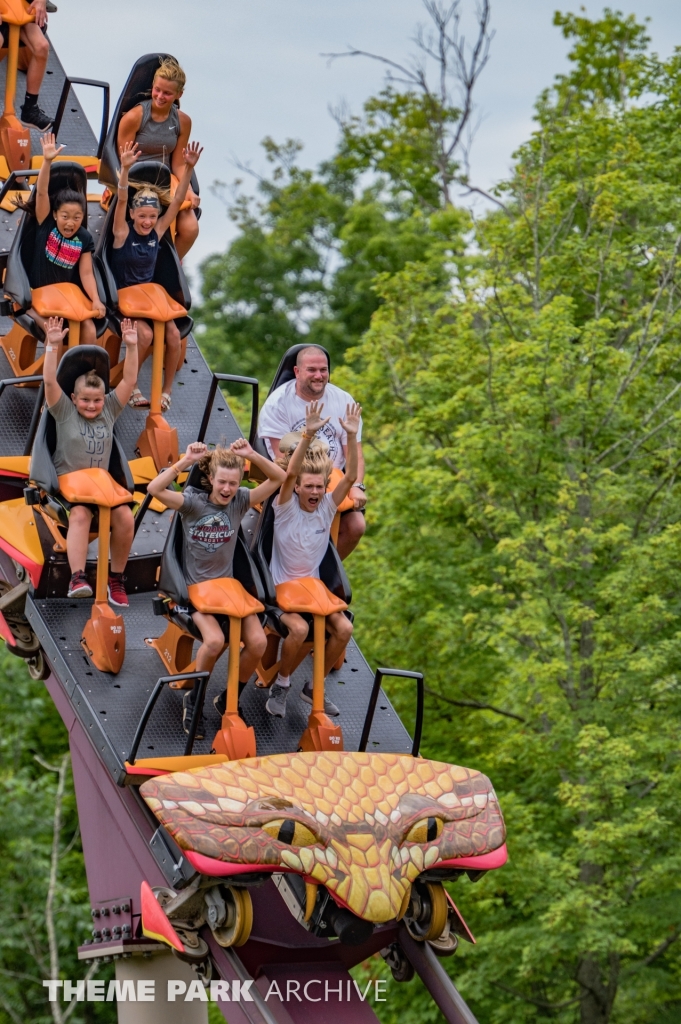 Diamondback at Kings Island