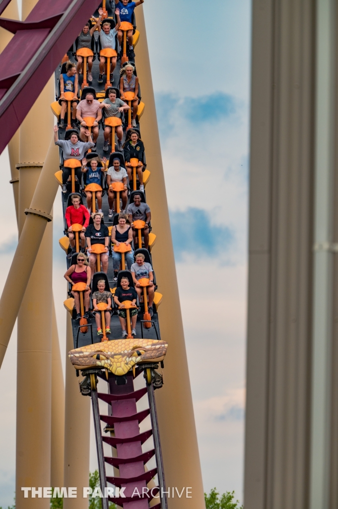 Diamondback at Kings Island