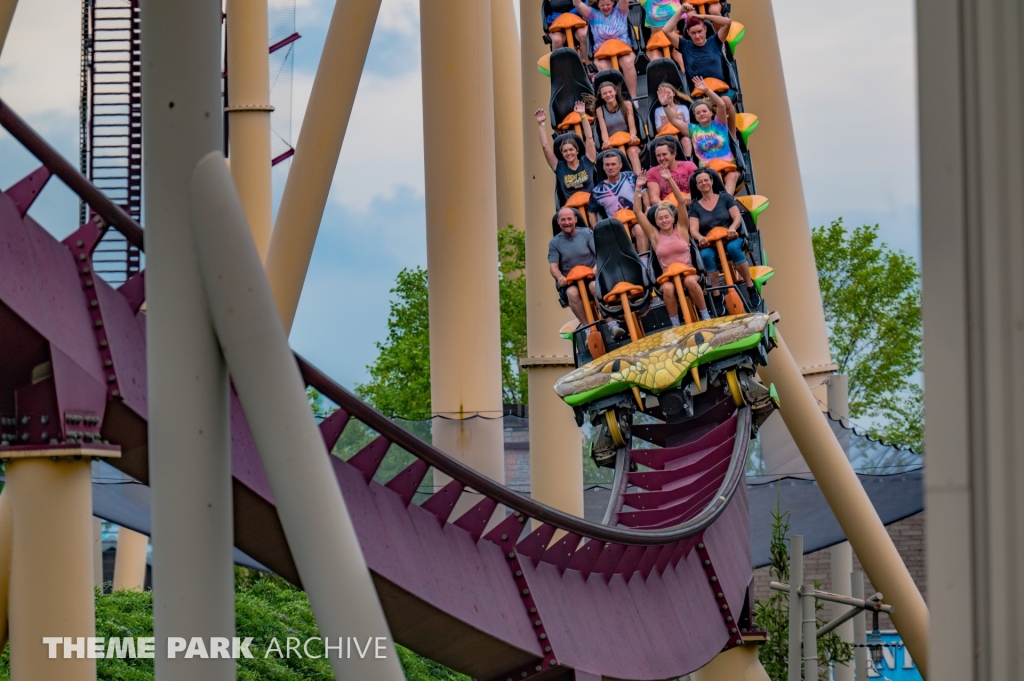 Diamondback at Kings Island