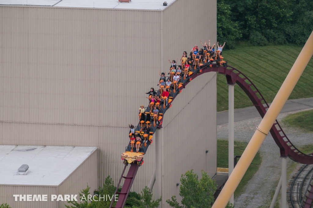 Diamondback at Kings Island