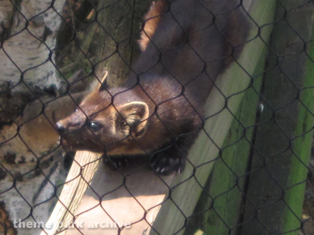 ZooAmerica at Hersheypark