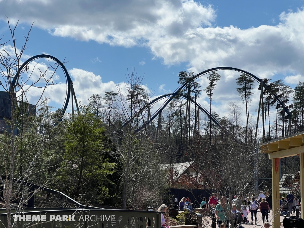 Wild Eagle at Dollywood