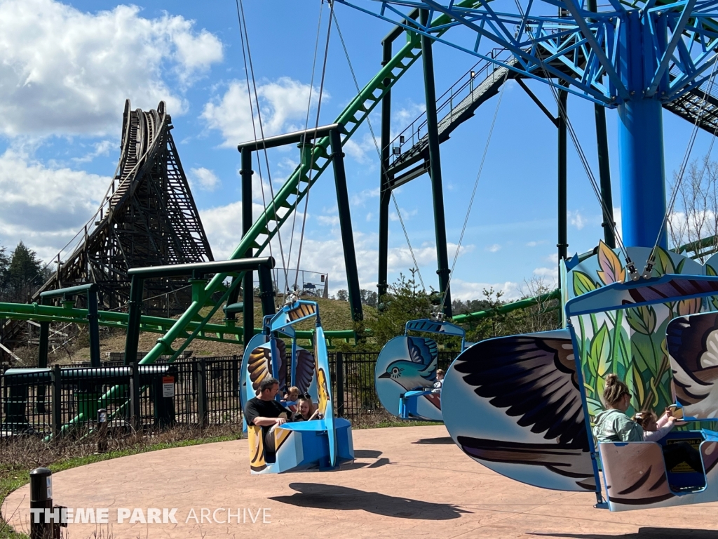 The Mad Mockingbird at Dollywood