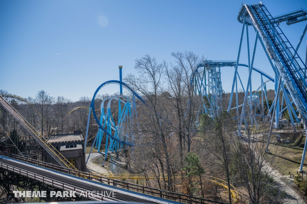 Griffon at Busch Gardens Williamsburg