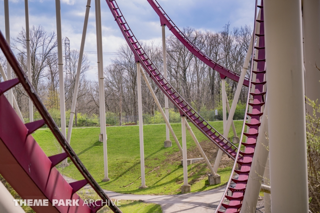 Diamondback at Kings Island