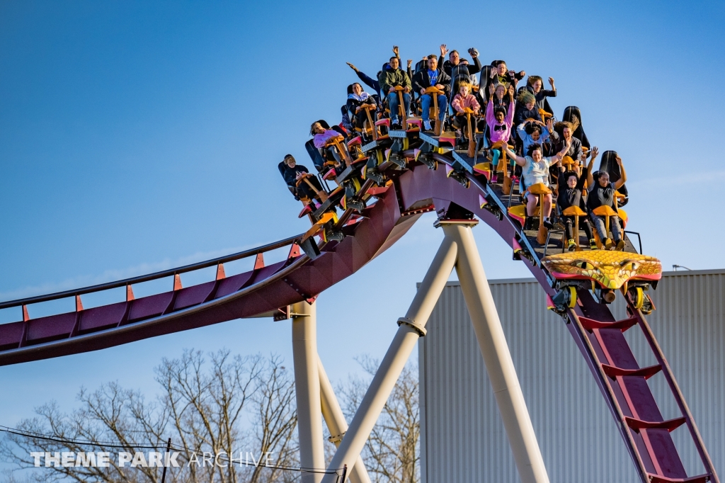 Diamondback at Kings Island