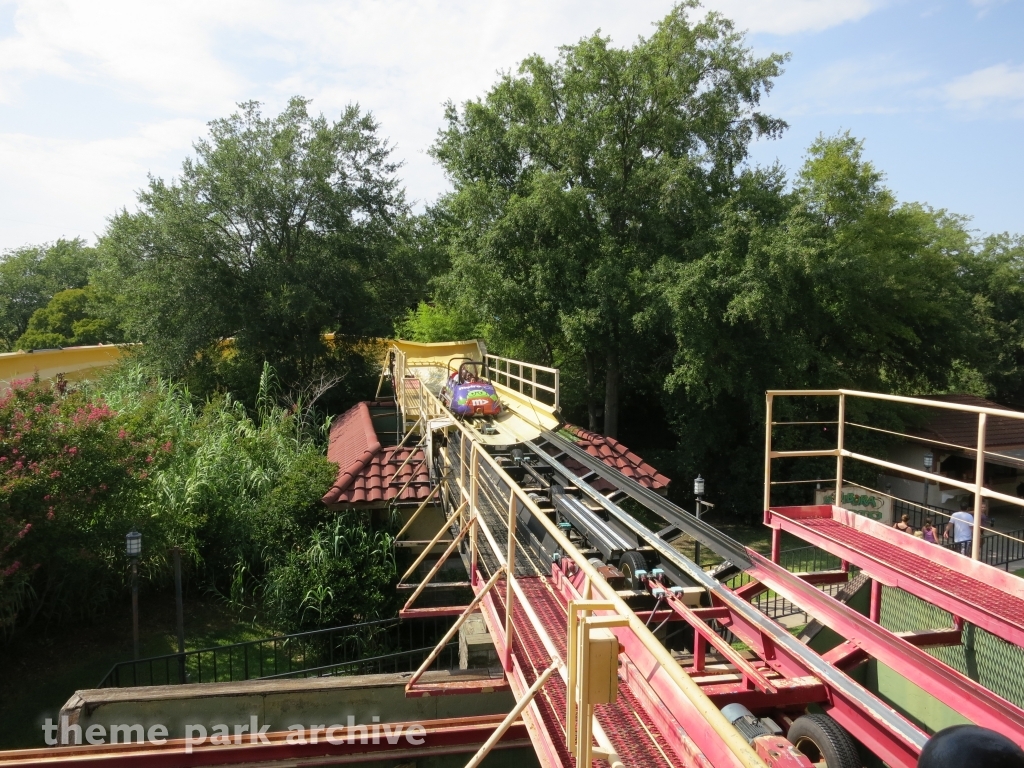 La Vibora at Six Flags Over Texas