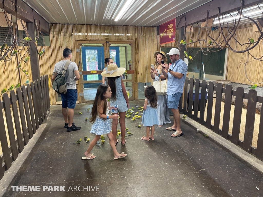 Parakeet Paradise at Santa’s Village Amusement & Water Park