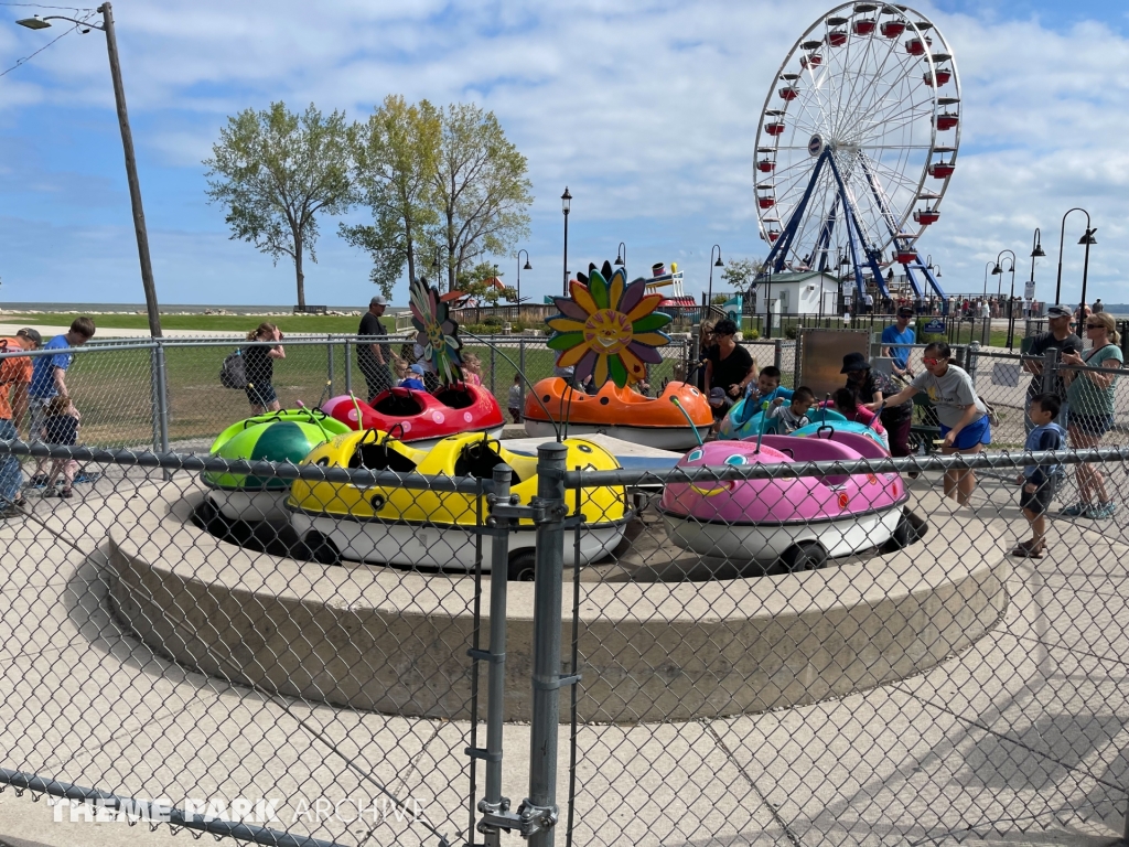 Lady Bugs at Bay Beach Amusement Park