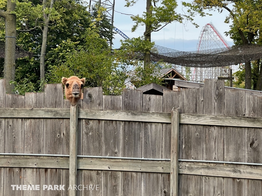 The Barnyard at Cedar Point