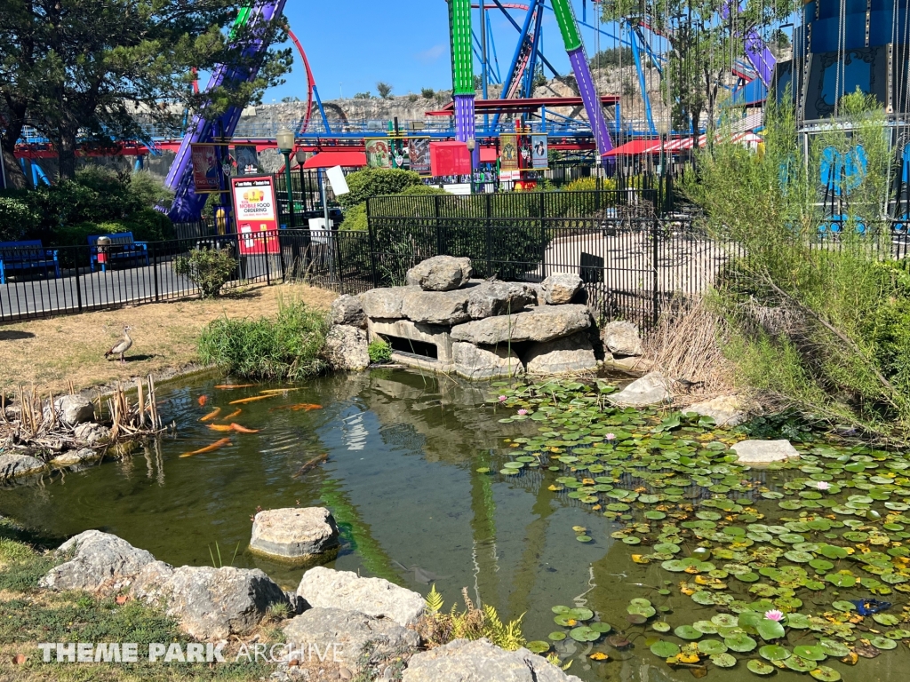 Thrill Seeker Park at Six Flags Fiesta Texas