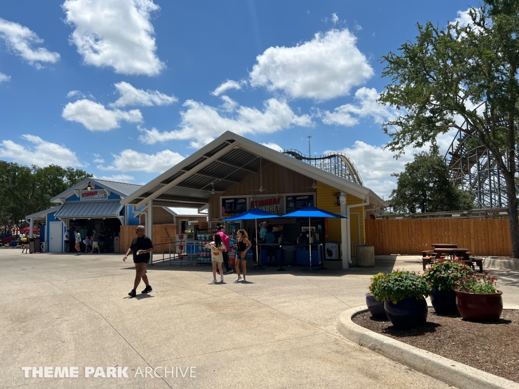 Texas Stingray at SeaWorld San Antonio