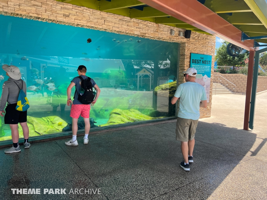 Turtle Reef at SeaWorld San Antonio