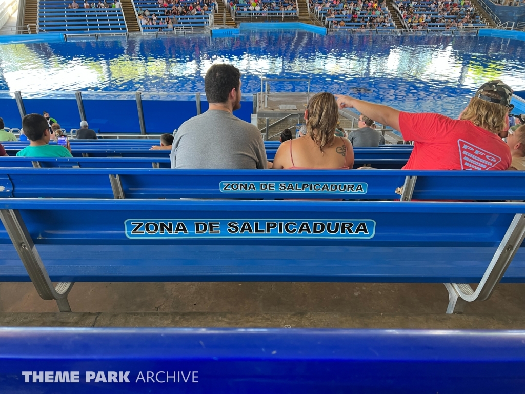 Shamu Theater at SeaWorld San Antonio