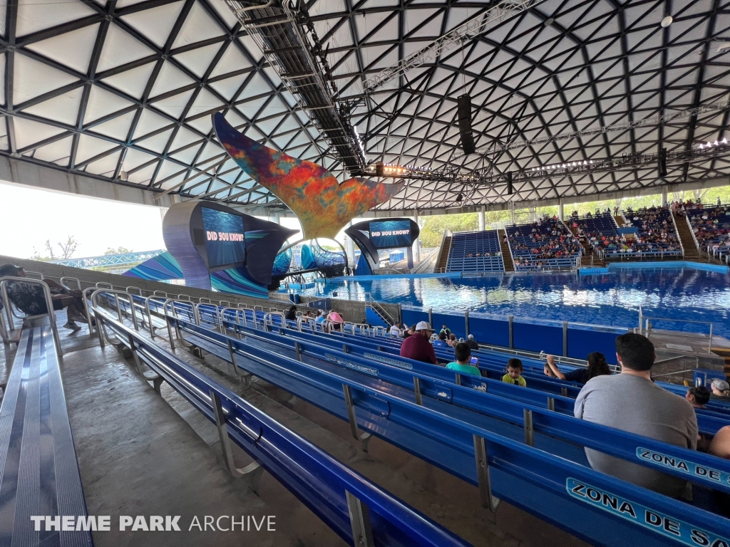 Shamu Theater at SeaWorld San Antonio