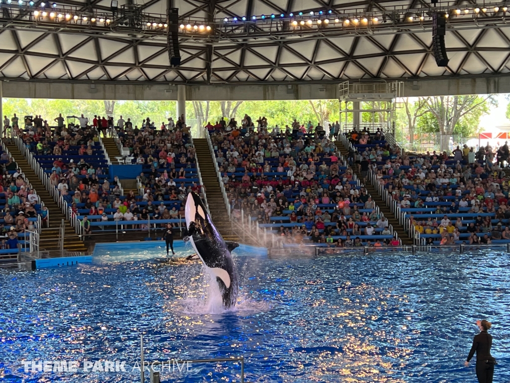 Shamu Theater at SeaWorld San Antonio