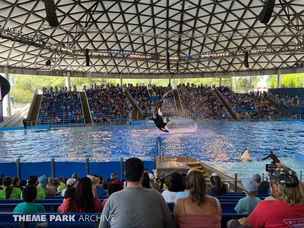 Shamu Theater at SeaWorld San Antonio