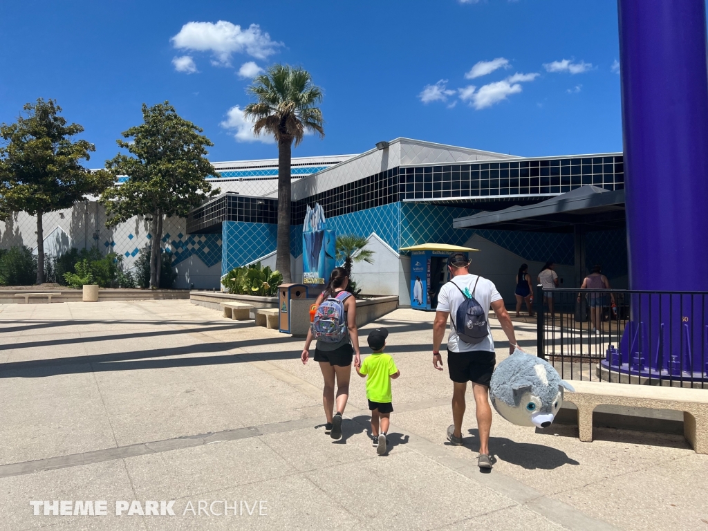 Penguin Encounter at SeaWorld San Antonio