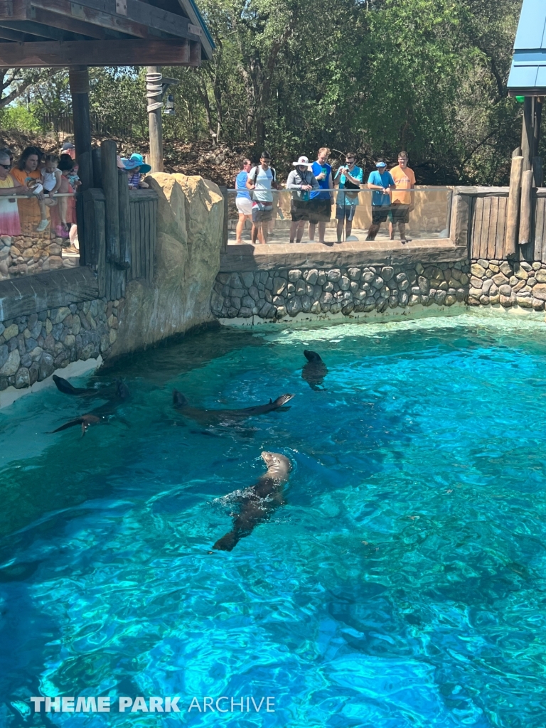 Rocky Point Preserve at SeaWorld San Antonio