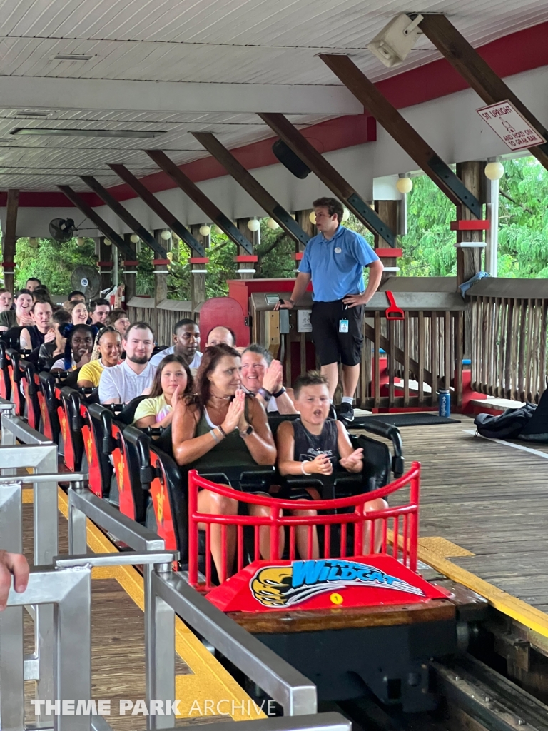 Wildcat at Hersheypark