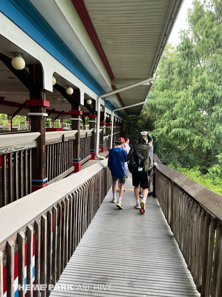 Wildcat at Hersheypark