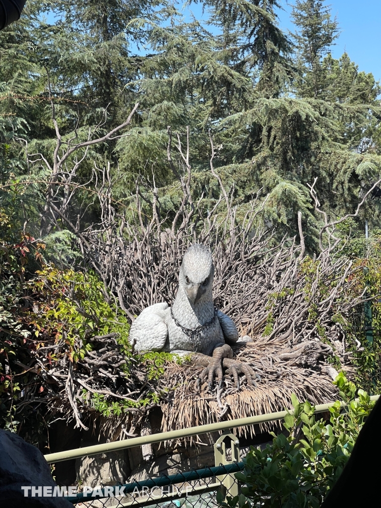 Flight of the Hippogriff at Universal Studios Hollywood