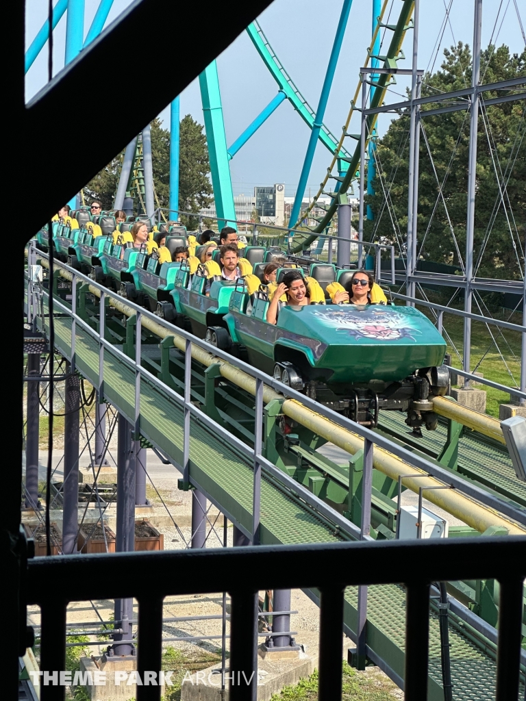 Dragon Fire at Canada's Wonderland