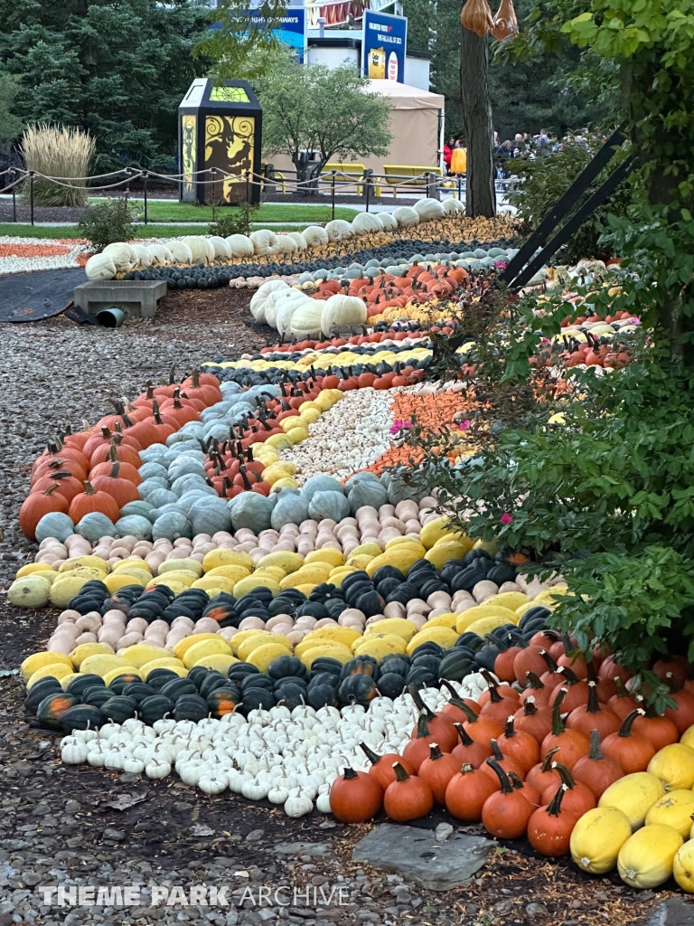 HalloWeekends at Cedar Point