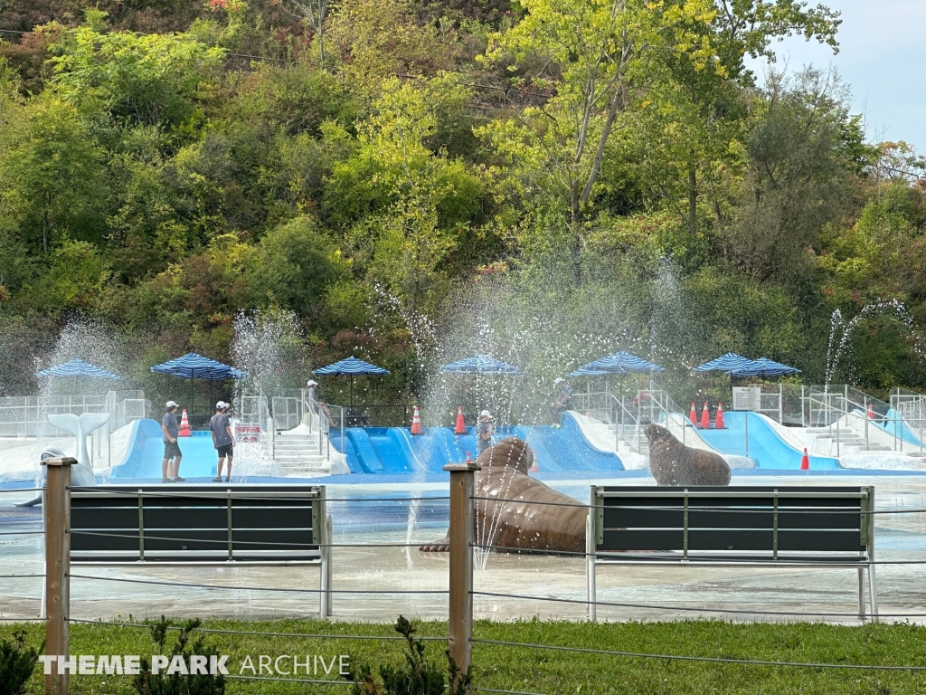 Polar Splash at Marineland