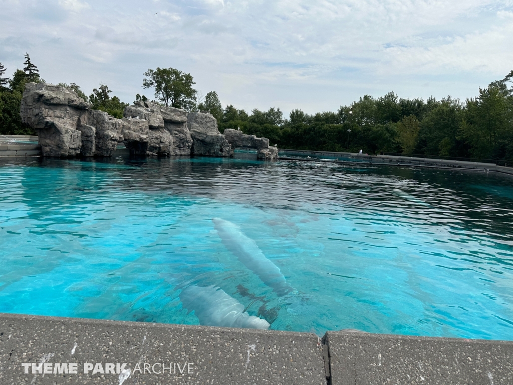 Arctic Cove at Marineland