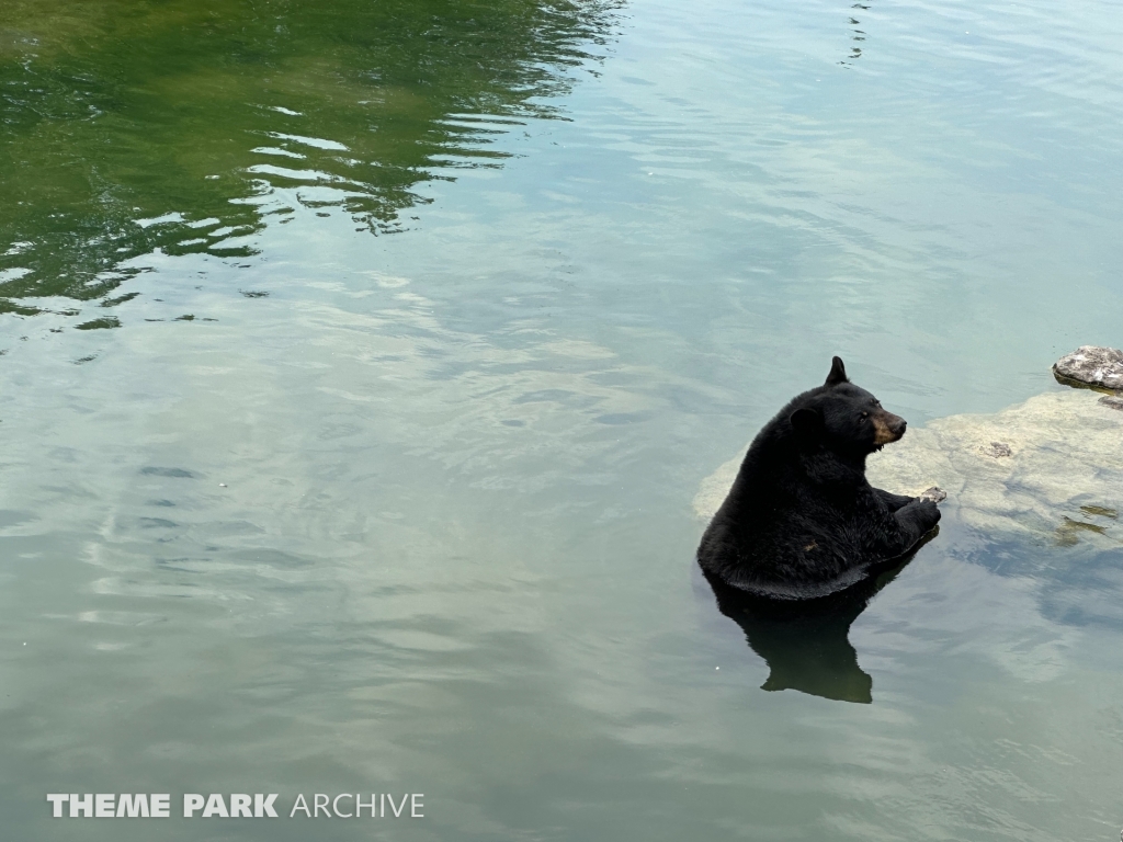 Misc at Marineland