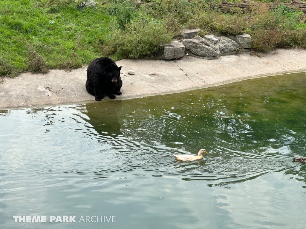 Misc at Marineland