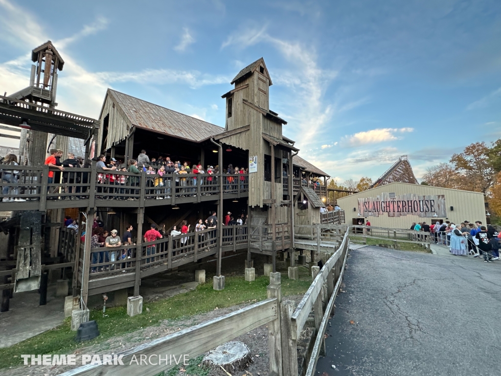 The Beast at Kings Island